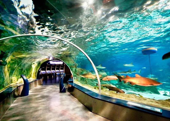 Crowne Plaza Florya By Ihg 5*