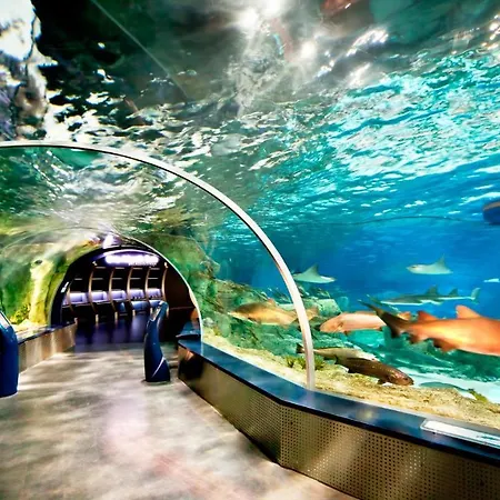 Crowne Plaza Florya Istanbul, An Ihg 5*